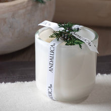 Load image into Gallery viewer, Evergreen & Pine Stone Candle