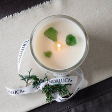 Load image into Gallery viewer, Evergreen & Pine Stone Candle