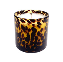 Load image into Gallery viewer, Sugared Amber Tortoise Soy Blend Candle