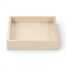 Load image into Gallery viewer, Cantora 9" Velvet-Lined Rectangular Catchall Tray
